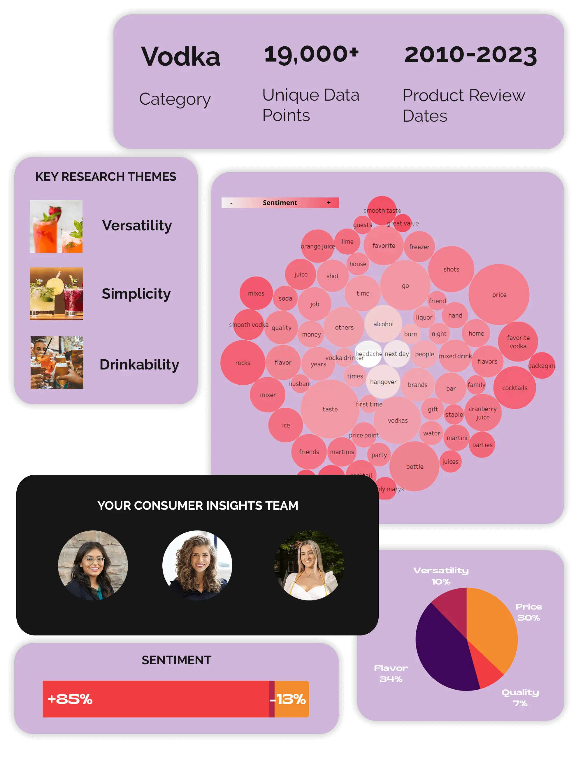pictures of keyword bubbles, key research themes, sentiment analysis, etc to display the capabilities of our consumer insights reporting