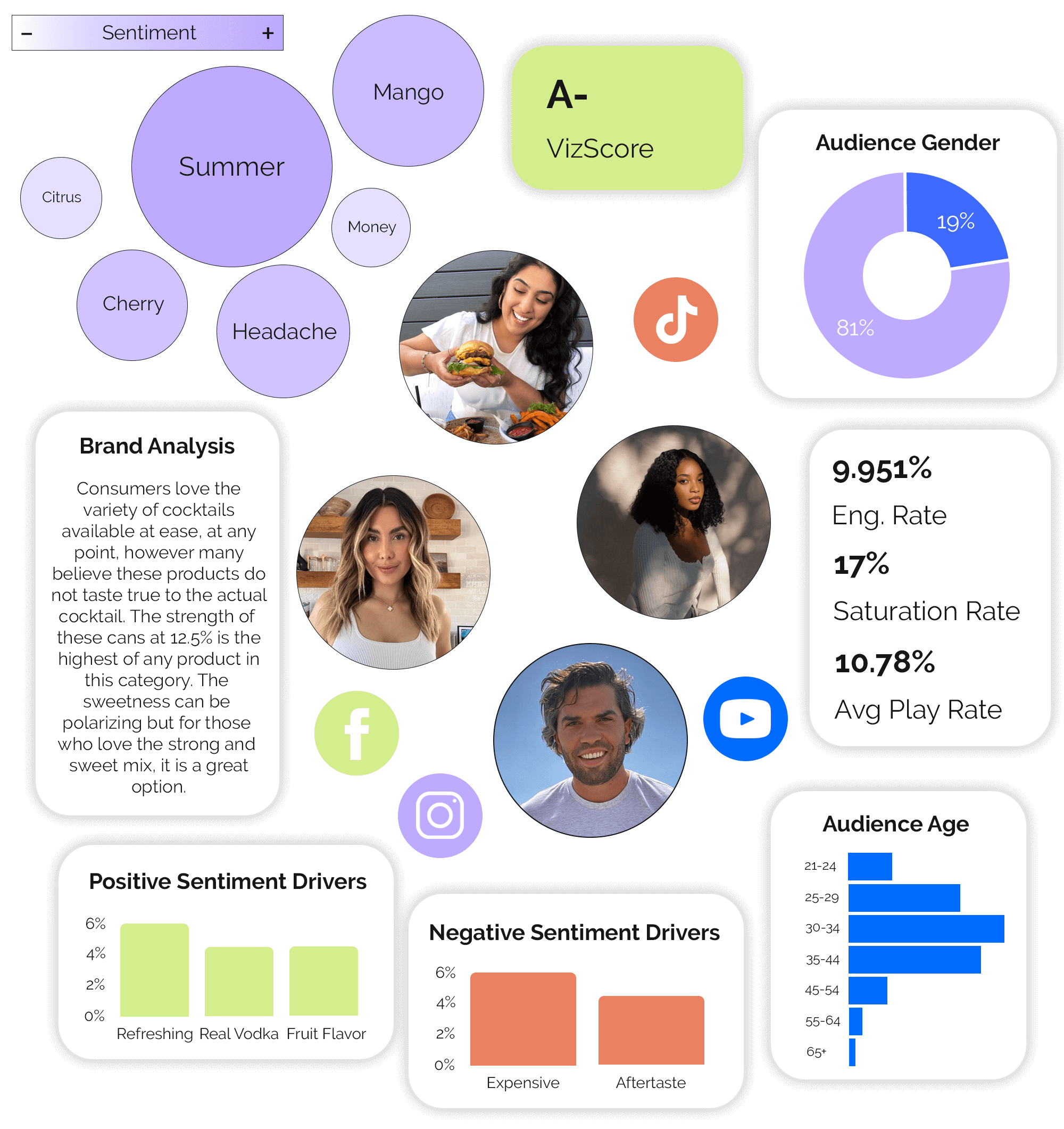 Pictures displaying vetting, sentiment drivers, influencer audience, keyword bubbles, and more to display how VizSense uses AI